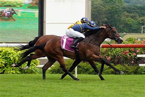 singapore horse racing tips by larry foley|Saturday March 20 – Meeting .